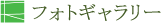 フォトギャラリー